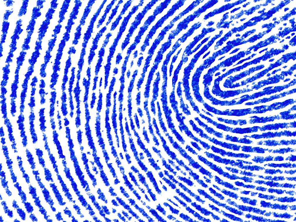 fingerprint_2