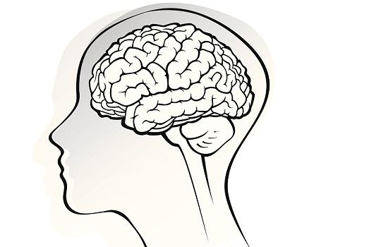 human_brain_neuroscience_istock_thinkstock