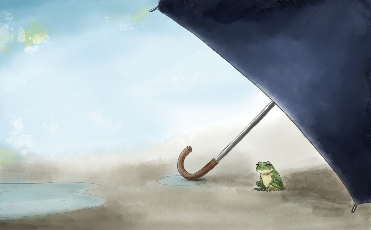 Illustration of a frog being sheltered with a black umbrella