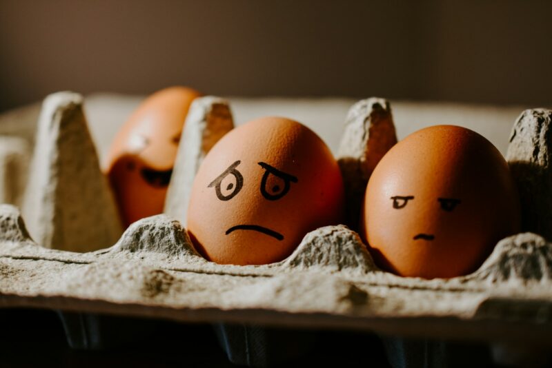 brown eggs in a box: fear in the workplace