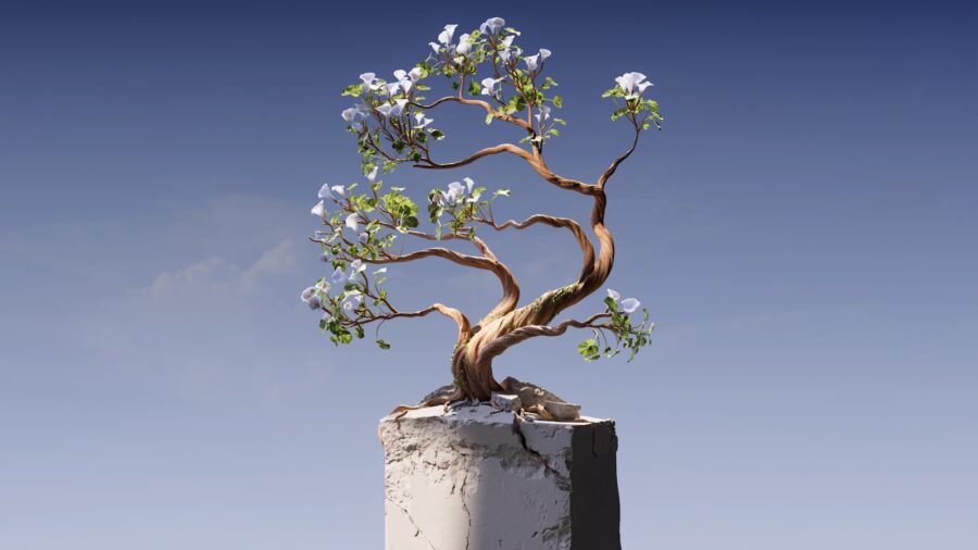 a bonsai tree growing out of a concrete block, workplace relationships