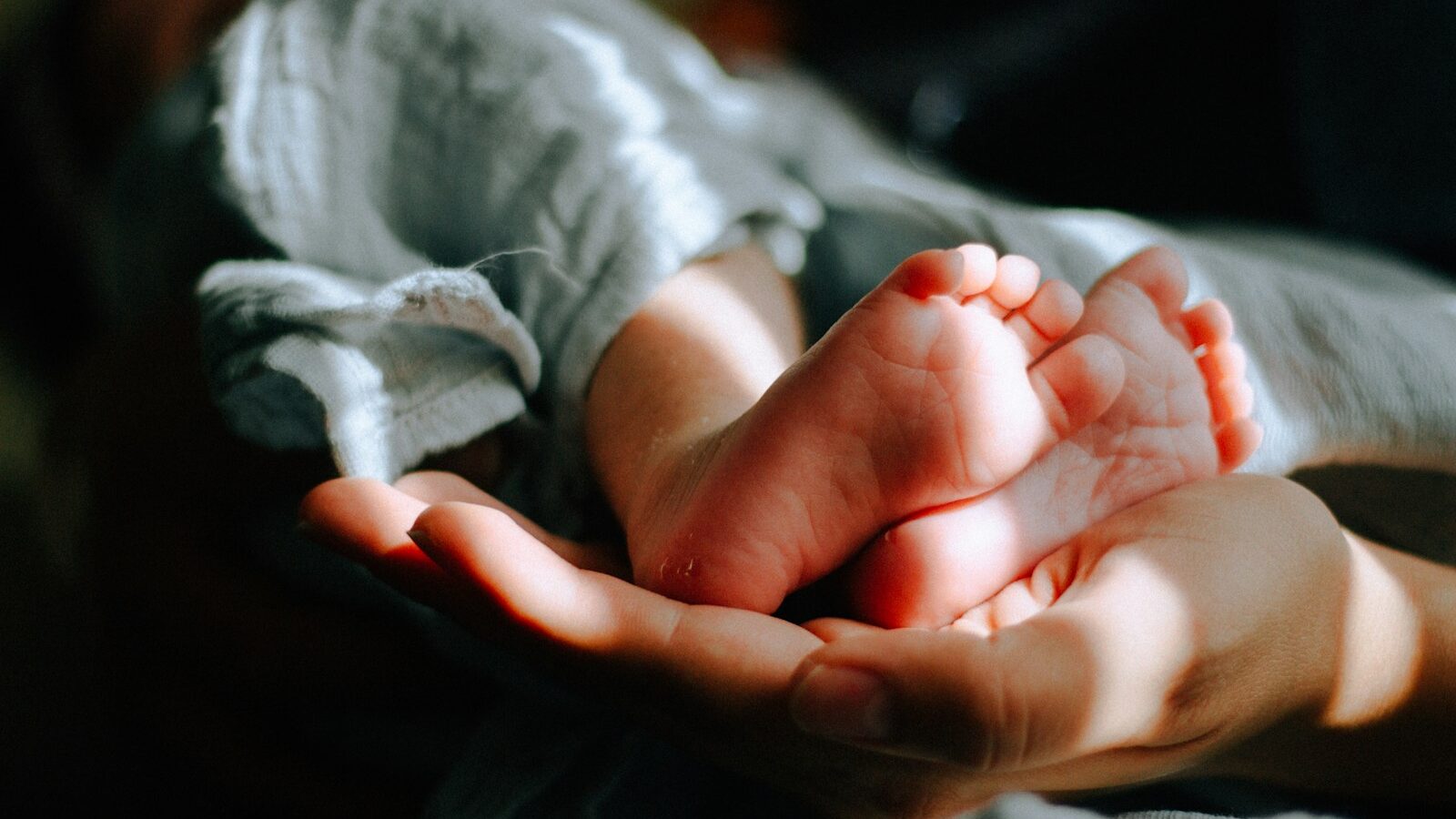 person holding baby feet, infertility policies