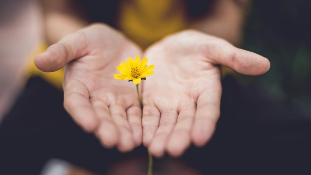 Respect at work, selective focus photography of woman holding yellow petaled flowers