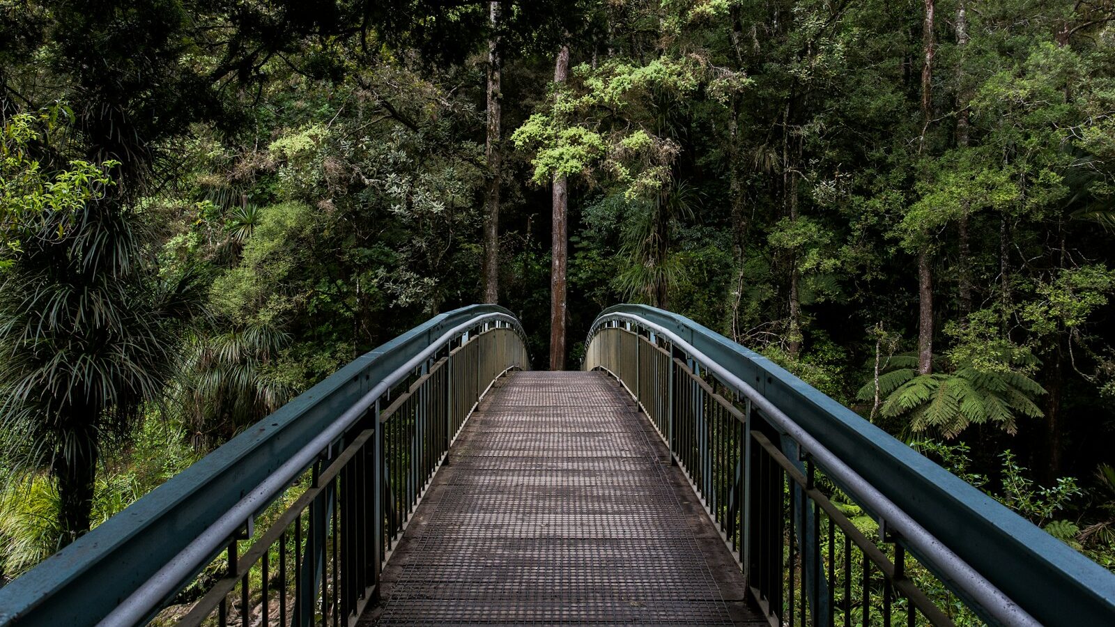 blue and brown steel bridge. HR supervision concept