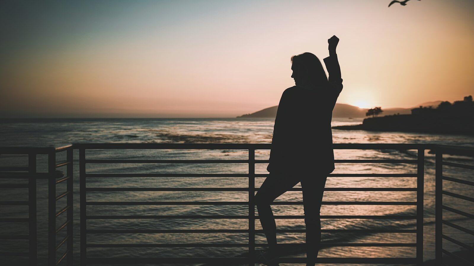 silhouette of woman standing near the fence