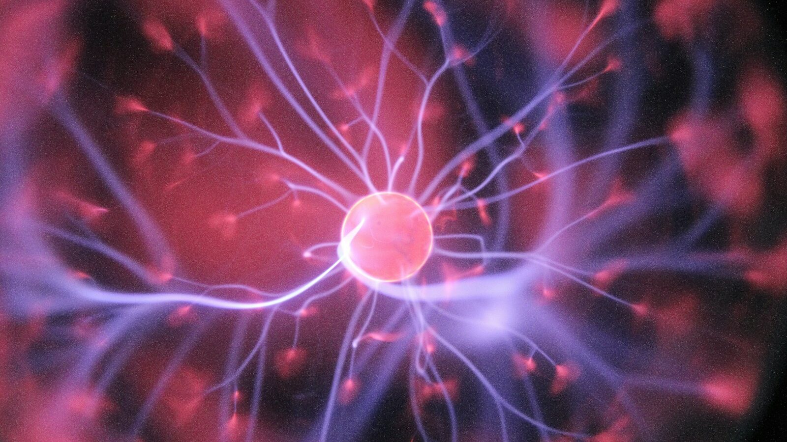 purple and pink plasma ball, depicting people science concept.