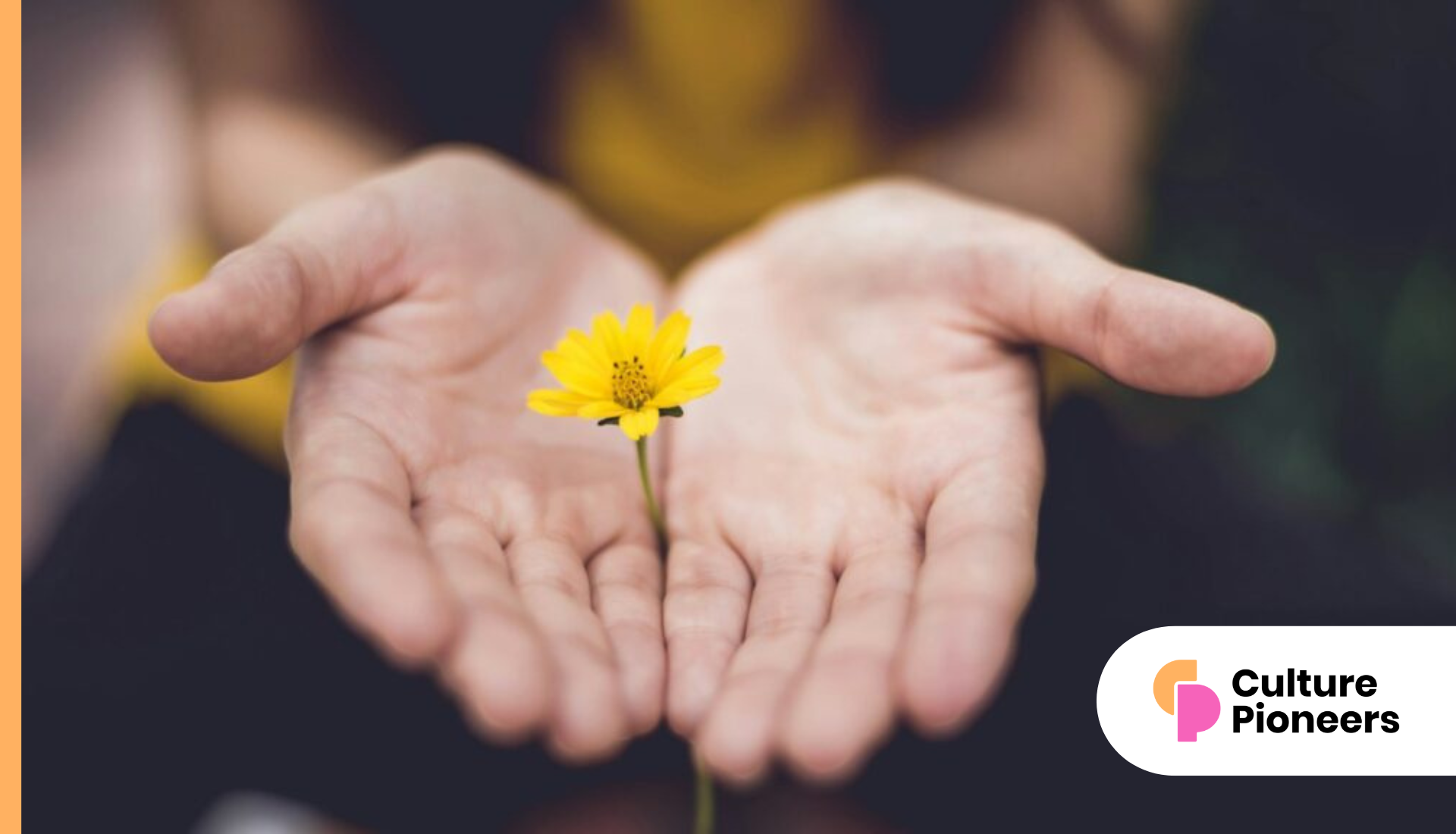 selective focus photography of woman holding yellow petaled flowers. Visual representation of wellbeing.