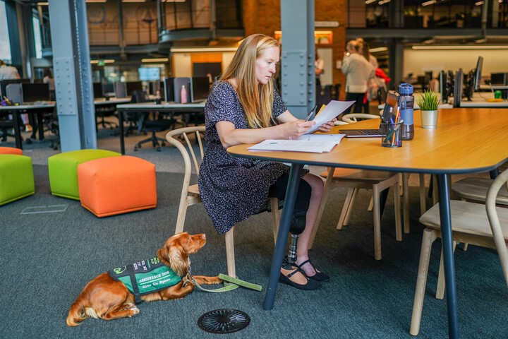 Person with assistance dog in work