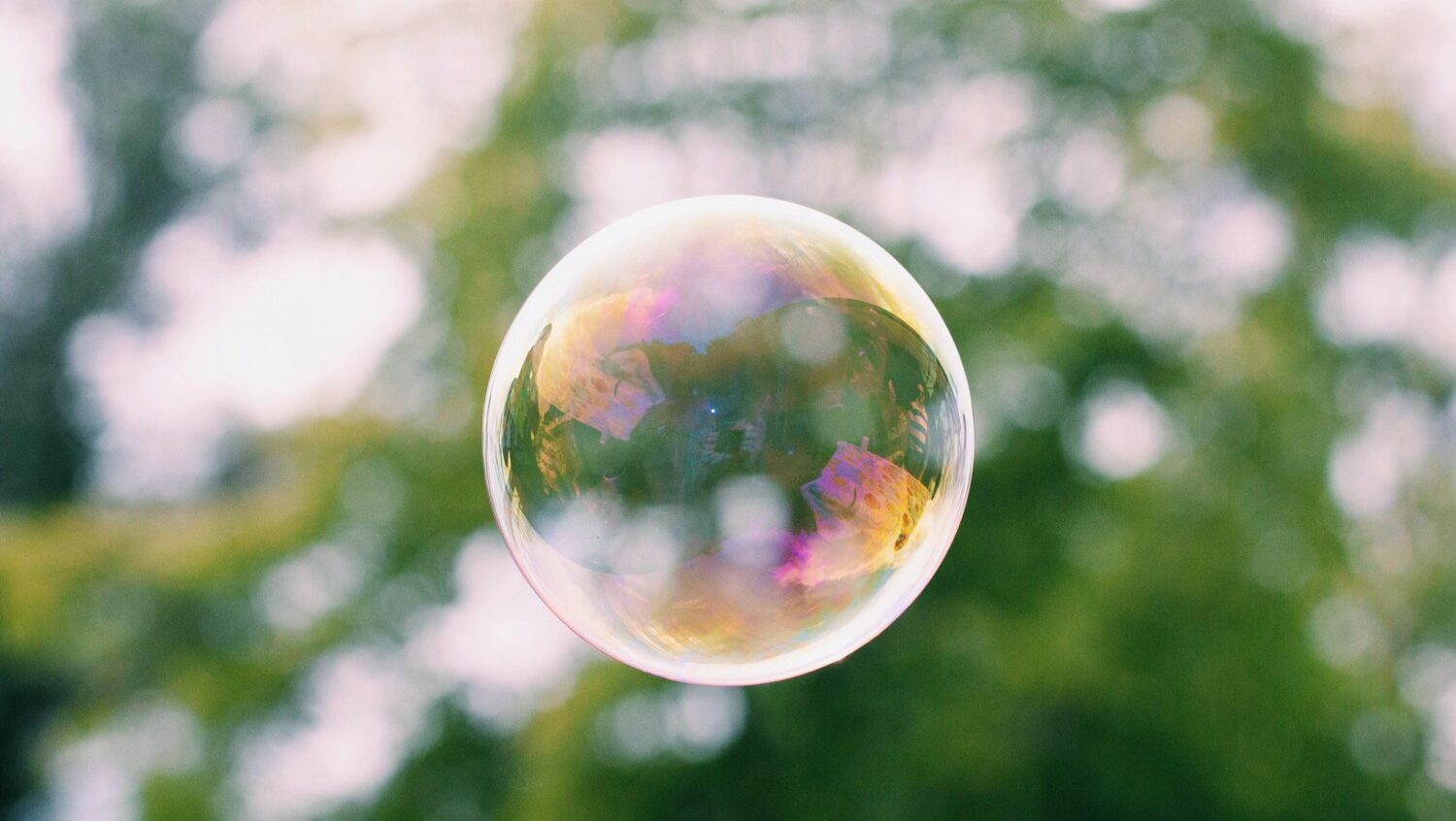 a close up of a soap bubble with trees in the background