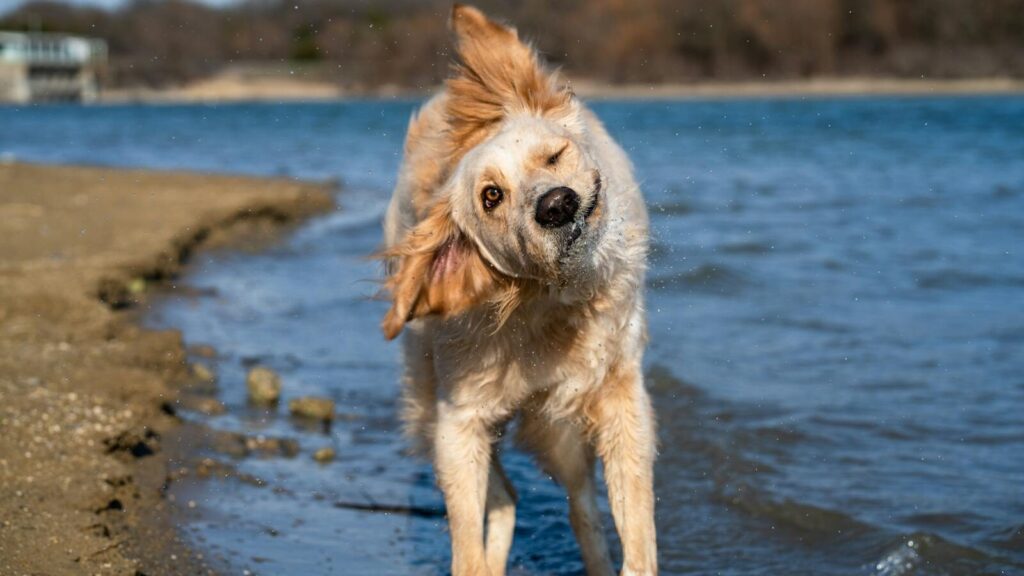 April's employment law shake-up: What HR needs to do right now