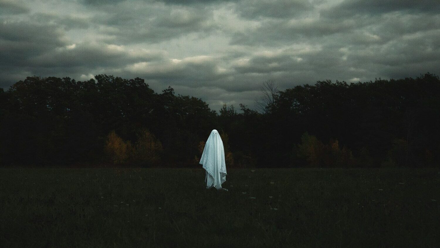 The ‘fake perks’ problem: How misleading job ads are fuelling ghosting