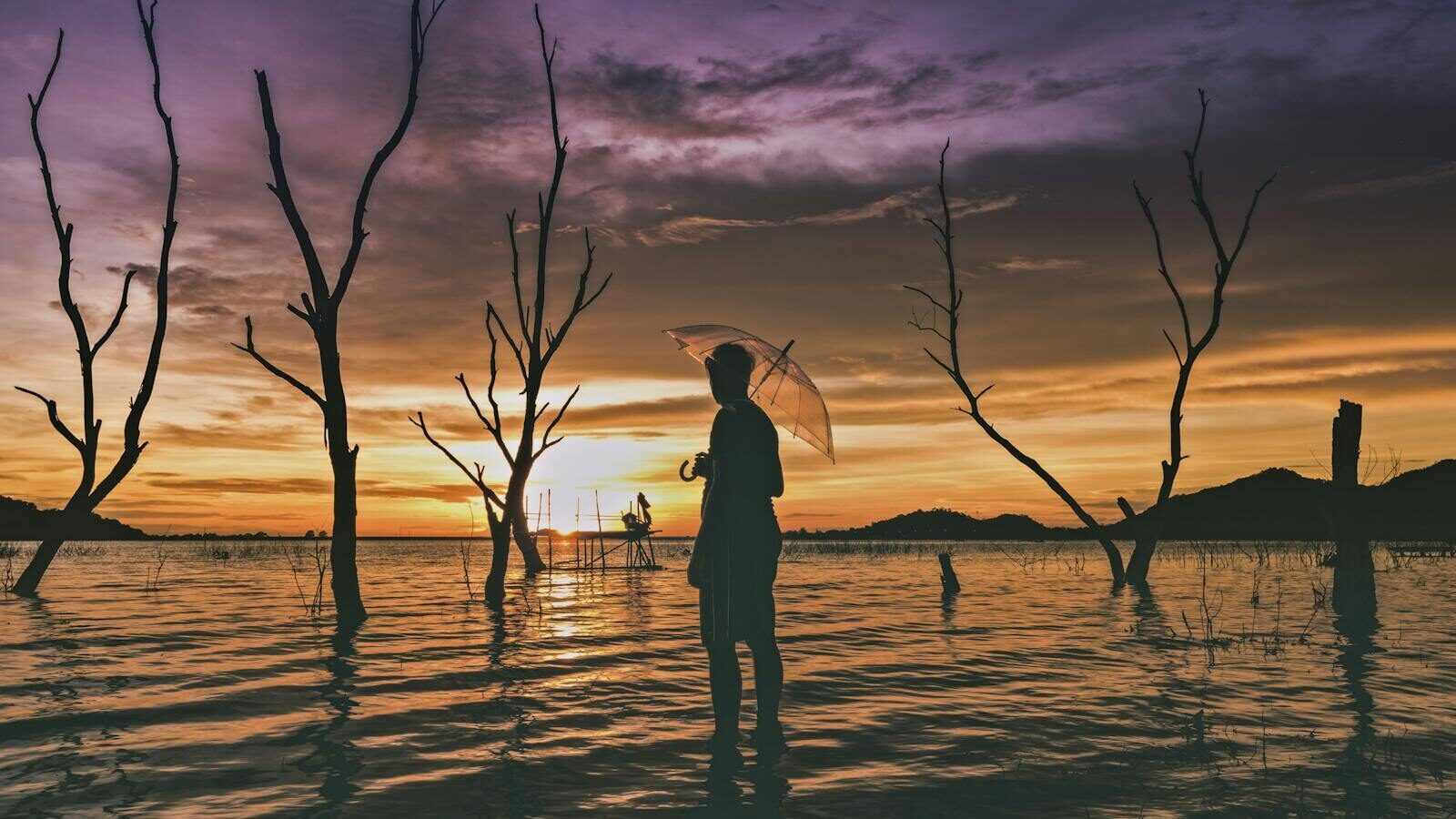 A person holding an umbrella stands in a serene lake at sunset, surrounded by dead trees.