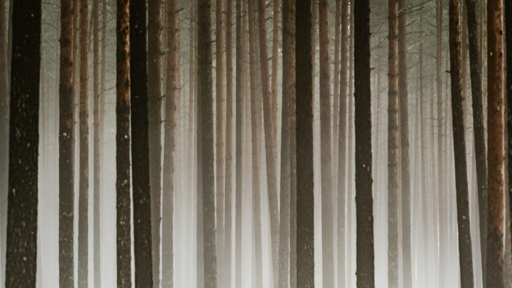 Day One SSP: Closing the gap between policy and practice