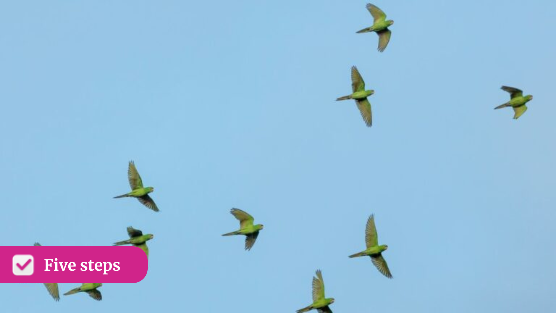 Five steps: Stop running HR. Start running the business