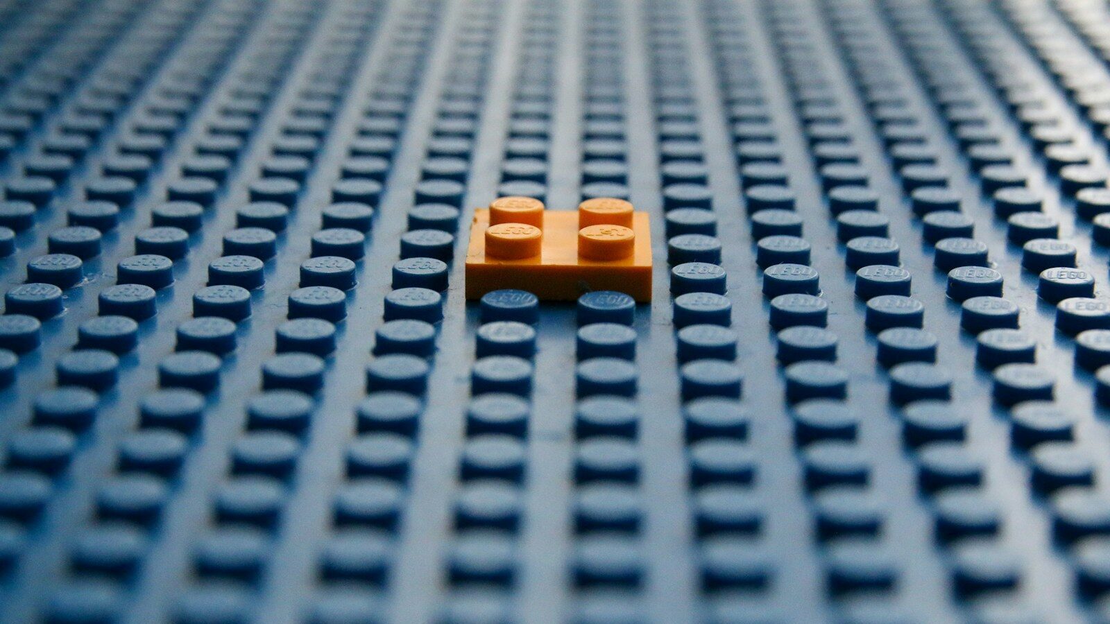 Beyond wellbeing: How to actually build workplace resilience