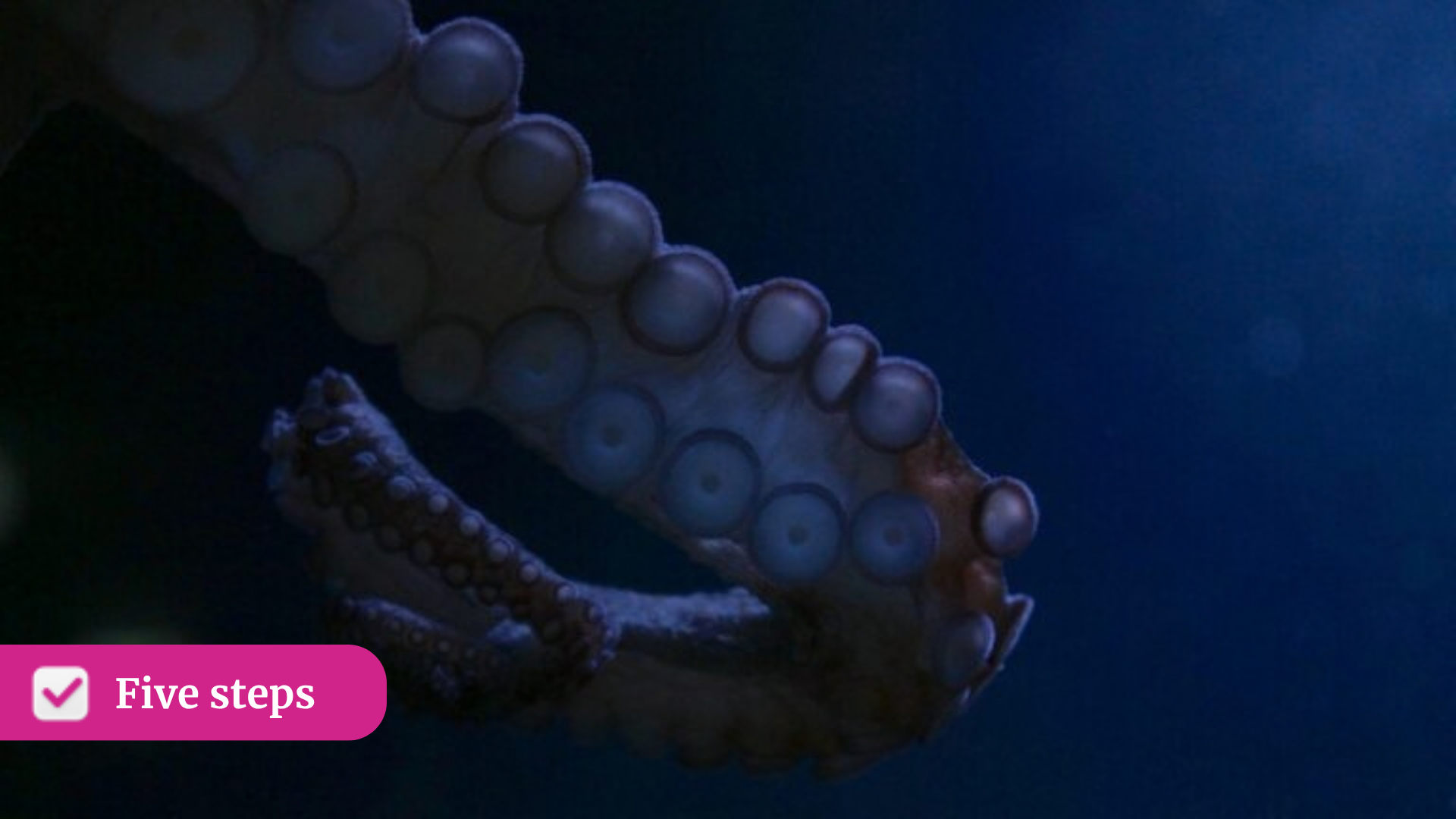 Five steps: How HR can pass the ‘Octopus Test’ before agentic AI gets its tentacles into everything